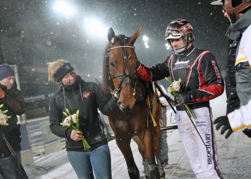 Markus Svedberg hoppas en hel del på sin fine fyraåring Michigan Bro. Foto: Maria Holmén, TR Bild